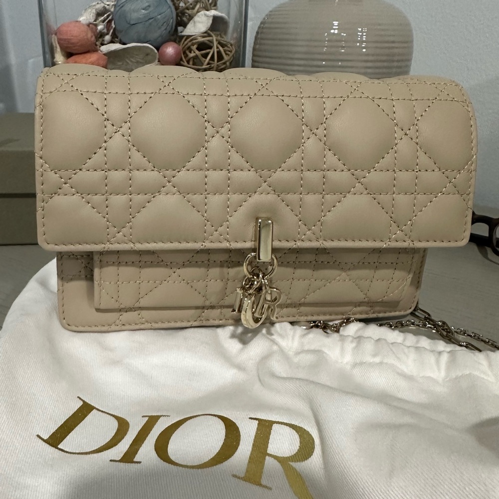 My Dior Daily Chain Pouch